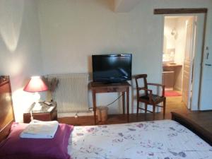 a living room with a bed and a television at L'Orme-Vial in Saint-Galmier