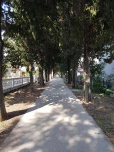 Fotografie z fotogalerie ubytování Apartment Sena v destinaci Privlaka