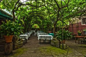 a row of tables and chairs under a canopy of trees at Antica Locanda Montin in Venice
