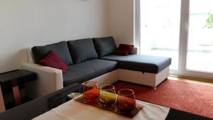 a living room with a couch and a table at Apartman Sara in Dugi Rat