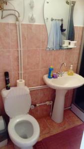a bathroom with a toilet and a sink at Apartments on Rizhskaya 10 in Pechory