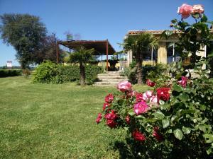 
a garden with a house and some flowers in it at Auberge du Grand Chêne in Sillans-la Cascade
