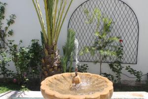 Κήπος έξω από το Malabata Guest House