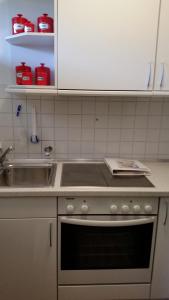 維林根的住宿－Fewos 4-Jahreszeiten，厨房配有水槽和炉灶 顶部烤箱
