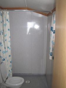 a bathroom with a toilet and a shower at Seljestad Cottages in Skare +18 photos