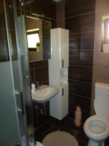 a bathroom with a sink and a toilet at Estavela Holiday home in Jezerce +38 photos