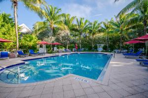 a swimming pool with blue chairs and palm trees at Coral Lagoon Resort in Marathon