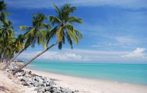 una playa con dos palmeras y el océano en Ponta Verde, en Maceió