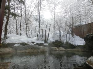 a stream in the snow with snow covered trees at Katsuragi no Sato in Takayama