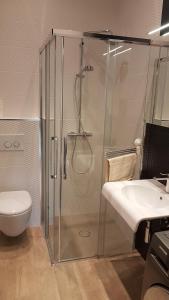 a bathroom with a shower and a toilet and a sink at Apartments Opatija-Ičići in Ičići