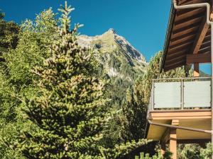 un pino frente a una montaña en Brückenhof en Finkenberg