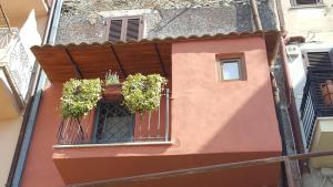 un bâtiment avec deux plantes en pot sur un balcon dans l'établissement La Tana Cerdomare, à Poggio Moiano