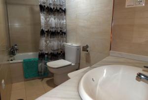 y baño con aseo, lavabo y ducha. en Loft in the heart of Córdoba by gms apartamentos, en Córdoba