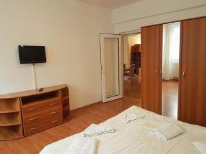 TV a/nebo společenská místnost v ubytování Sinaia Alex Apartments