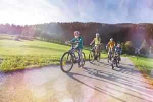 Jazda na bicykli v okolí ubytovania Appartement Jagdhof