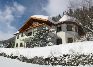 ペットイ・アム・アールベルクにあるDianaの雪に覆われた家