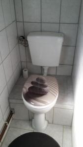 MahlzowにあるFerienhaus Storchenwegの小さなバスルーム(白いトイレ、木製シート付)