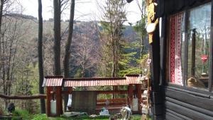 Paesaggio naturale nelle vicinanze del lodge