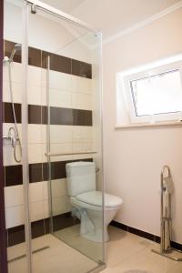 a bathroom with a toilet and a glass shower stall at Pensiunea Casa din Vii in Şeuşa