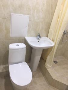 uma casa de banho com um WC branco e um lavatório. em Apartment on Chaykovskogo em Sochi