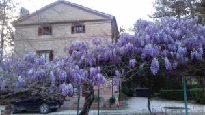 Gallery image of Rio Verde camping villaggio in Costacciaro