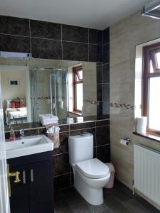 La salle de bains est pourvue de toilettes, d'un lavabo et d'un miroir. dans l'établissement Shepherds Lodge B&B, à Killarney