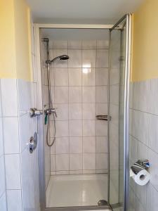 メーアスブルクにあるFerienapartment Seeblickのバスルーム(ガラスドア付きのシャワー付)