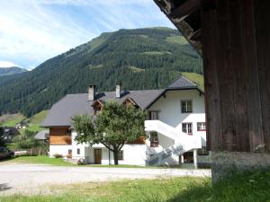 a large white house with a tree in front of a mountain at Biobauernhof Spieszschweiger in Sankt Nikolai im Sölktal