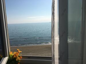 Příroda nedaleko hotelu