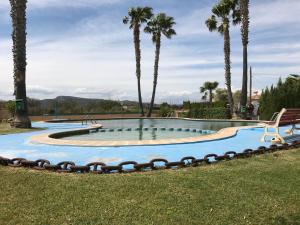 a swimming pool with palm trees in a park at Casa Pareada en Peñiscola in Peñíscola