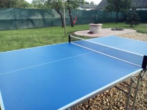 a blue ping pong table in a tennis court at Potyka Apartman in Tiszafüred