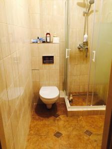 Śpiew Mew في أوستكا: حمام مع مرحاض ودش