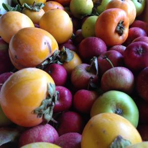 a pile of apples and oranges and other fruits at B&B La Tasgia in Aggius +92 photos