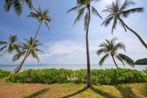 利巴諾伊的住宿－Lipa Talay Haa - 2 Bed Pool Villa - 1 Minute Walk To Beach，两棵棕榈树,在海滩上