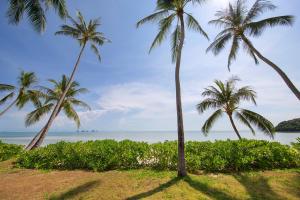 two palm trees on a beach with the ocean at Lipa Talay Haa in Lipa Noi