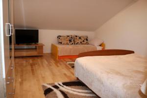 TV a/nebo společenská místnost v ubytování Apartment Toni Privlačka 32