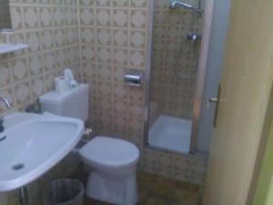 a bathroom with a toilet and a shower and a sink at Gasthof Schatzl in Grieskirchen