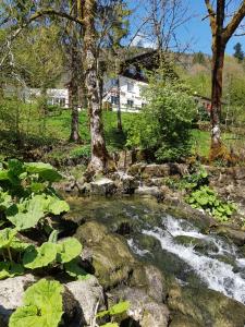a stream in a garden with rocks and trees at Auberge Le Moulin Du Plain in Goumois