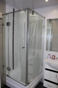 a shower with a glass door in a bathroom at Apartment Ecaterina in Chişinău