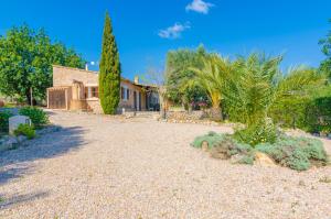 ein Haus mit einer Palme und einer Kieseinfahrt in der Unterkunft Son Barbot (Can Robi Nou) in Sant Llorenç des Cardassar