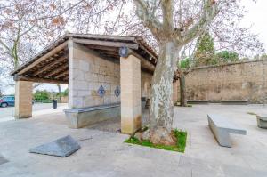 Galeriebild der Unterkunft Son Barbot (Can Robi Nou) in Sant Llorenç des Cardassar