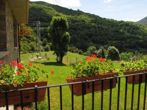 Hotel Casa Anita
