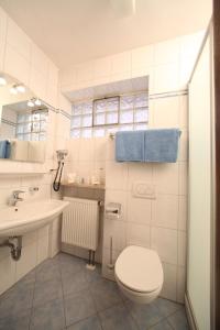 a white bathroom with a toilet and a sink at Hotel-Landgasthof Schuster in Greding