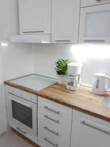 Küche/Küchenzeile in der Unterkunft Apartmani Luka & Iva