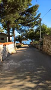 a road with trees and a stone wall and the ocean at Apartments Vera - Mirca in Mirce +18 photos