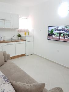 TV/Unterhaltungsangebot in der Unterkunft Apartmani Luka & Iva