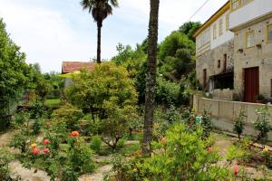 a garden with a palm tree and a building at Casa de Encosturas in Cabeceiras de Basto