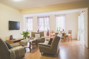 Televízia a/alebo spoločenská miestnosť v ubytovaní Apartamenty przy Zamku