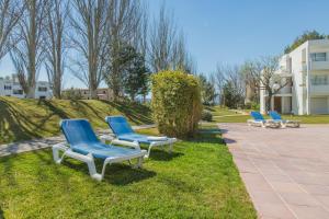 una fila de sillas azules sentadas en la hierba en Apartamentos Habitat, en Puerto Pollensa