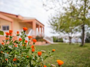 a bush with orange flowers in front of a house at Villa Elaia Mare in Fanárion